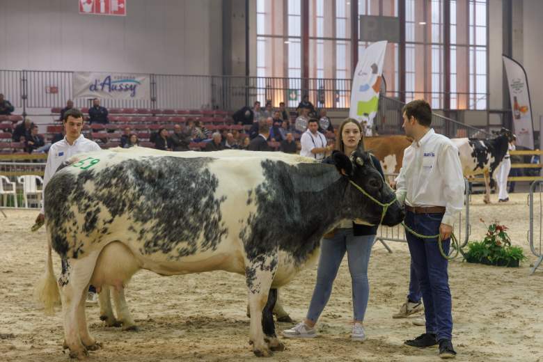 intention-d-organiser-a-nouveau-le-brussels-livestock-show-en-2027